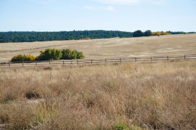 acreage