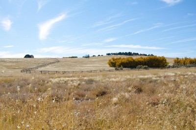 acreage