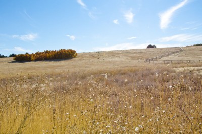 acreage